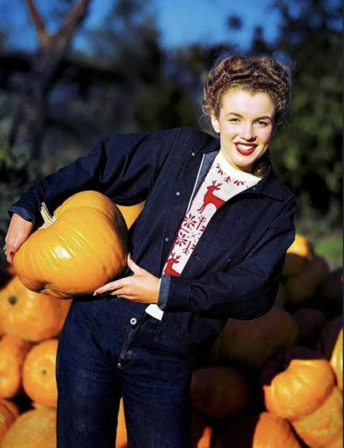 blondebrainpower:  Marilyn Monroe at a pumpkin patch.  Photographed by David Conover.
