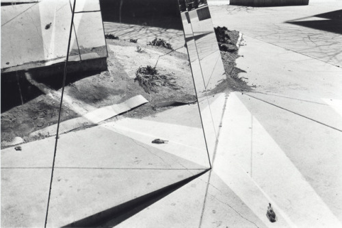 Dead Bird in Mirror,FloridaBurk Uzzle (American; 1938– )ca. 1975Gelatin silver printCourtesy Steven 