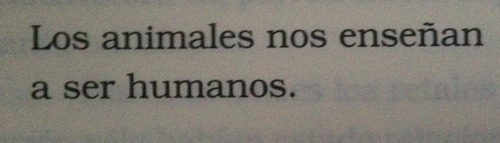 mi-mundo-entre-libros