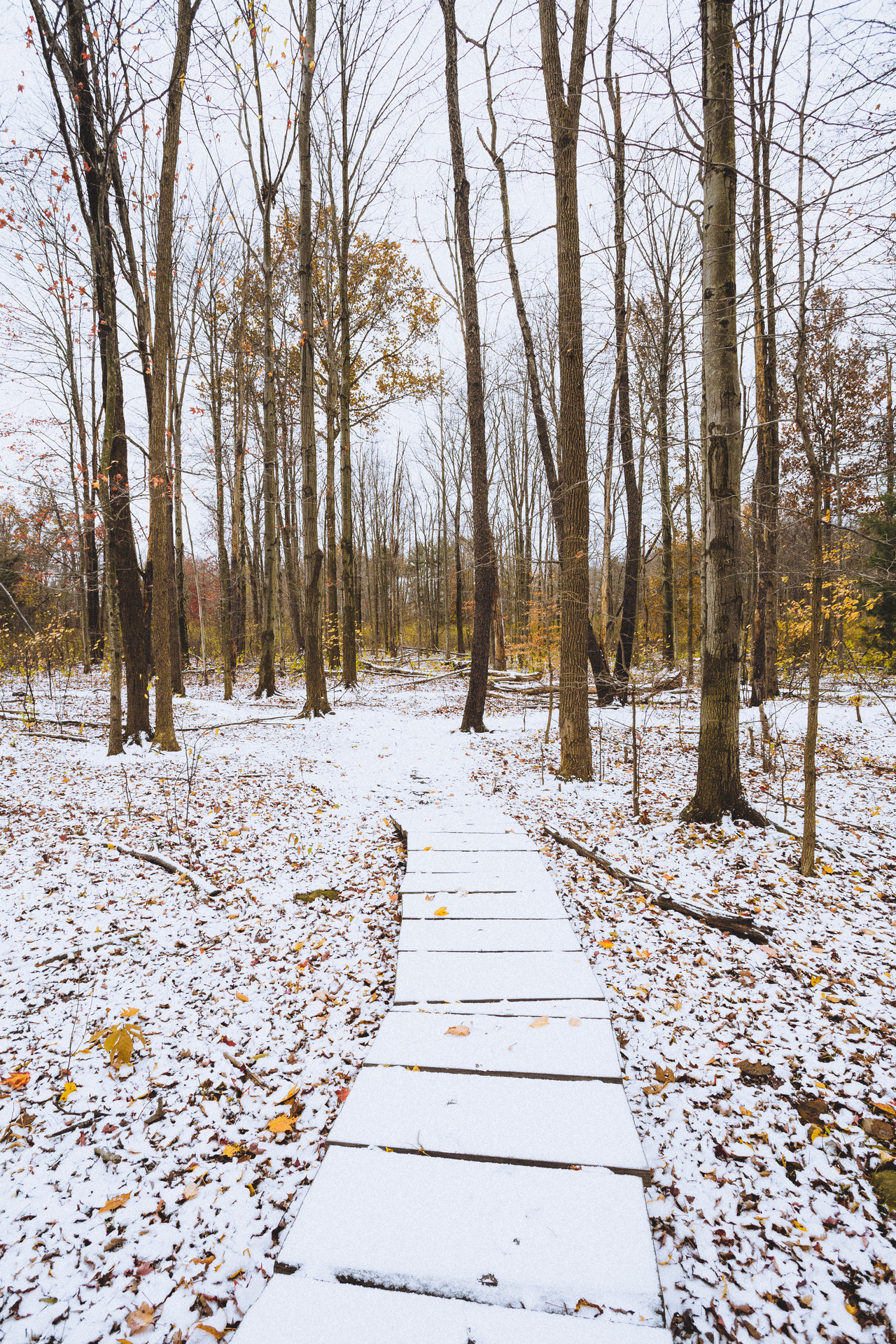 vvnnie:  Ohio // Instagram