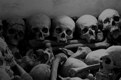 The Creepatorium