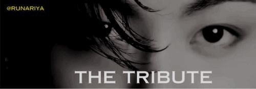 THE TRIBUTE 1