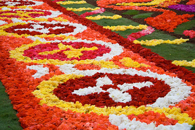 sixpenceee:  The biggest flower carpet in the world. It is located in Brussels. It’s to pay tribute to the estimated 220,000 Turks who began coming to Brussels 50 years ago under an immigration pact. (Source)