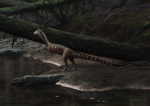 Effigia okeeffeae, a Late Triassic crurotarsan from New Mexico.There’s also Hesperosuchus in t
