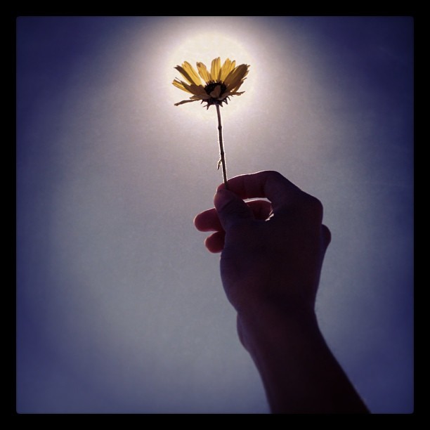 &ldquo;Hice un pacto pacífico con el tiempo&hellip;ni él me persigue&hellip;ni