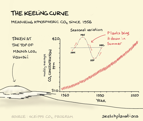 The Keeling curve Perhaps the most important curve of our times, Charles Keeling&rsquo;s curve s
