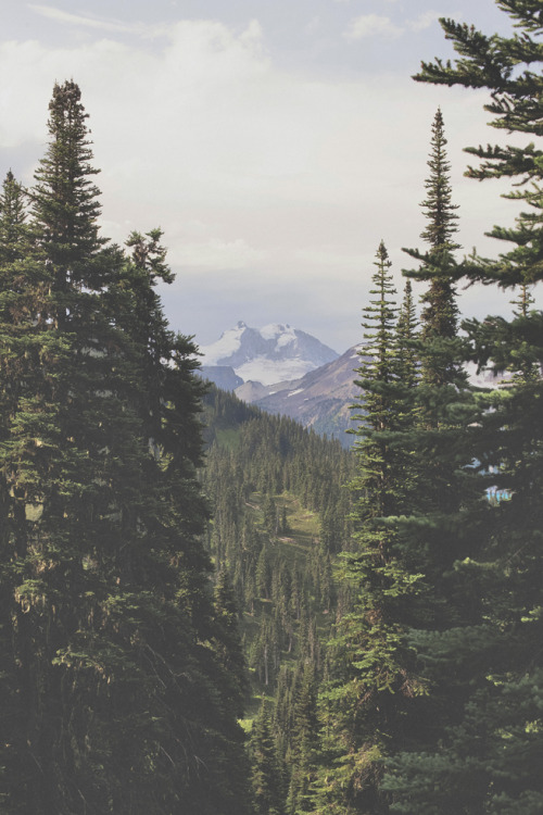 peaceintheforest:ॐPeace In The Forestॐ