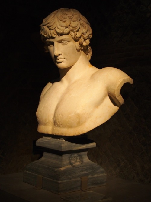 thesilenceofthemarble:Marble bust of Antinous, 2nd century AD, currently in the National Archaeologi