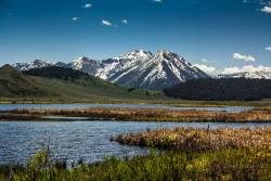 americasgreatoutdoors:  Red Rock Lakes National Wildlife Refuge is one of the most beautiful wildlife refuges in the U.S. The rugged Centennial Mountains provide a dramatic backdrop for this remote refuge in Southwest Montana. Originally established in