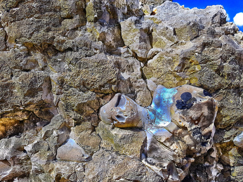 Somebody sees a silex figurine within the chalk rock?