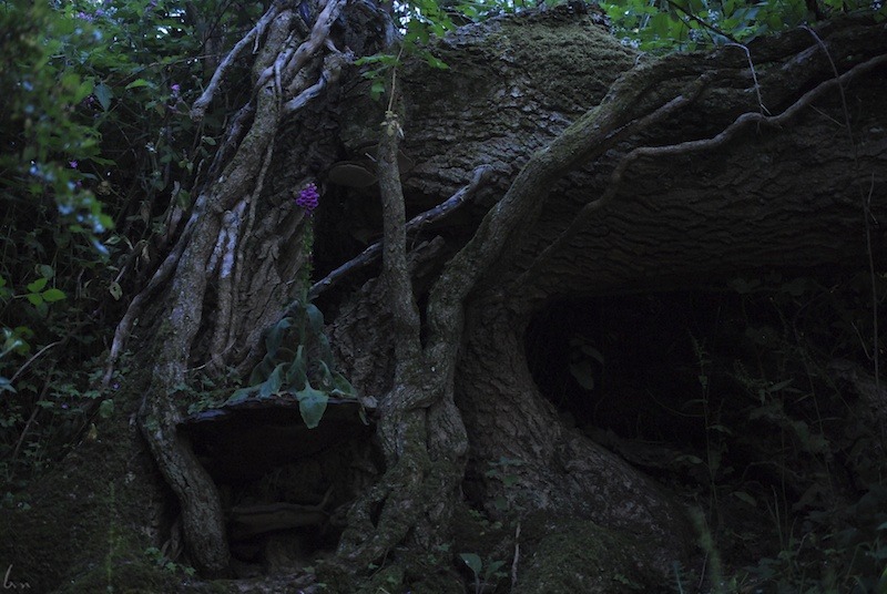 buron:  Today I went to a place that I have visited and photographed many times over