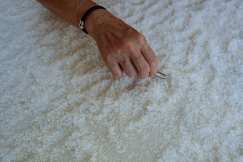 antigonipapantoni:Sea salt, Xylokastro, Greece, 2017