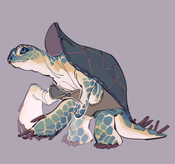 rxryp: im forcing you all to look at my dnd seatortle design. her name is guppy and she is, in turtle years, like 21