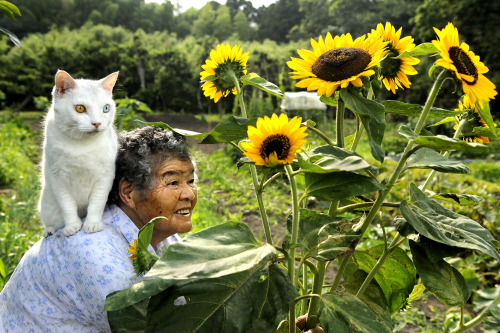 Miyoko Ihara aka Ihara Miyoko aka 伊原 美代子 (Japanese, b. 1981, Chiba, Japan) - Miyoko Ihara started a 