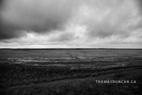 Canadian prairies. #canada #prairies #alberta #canada #landscape #landscapephotography #landscape_lo