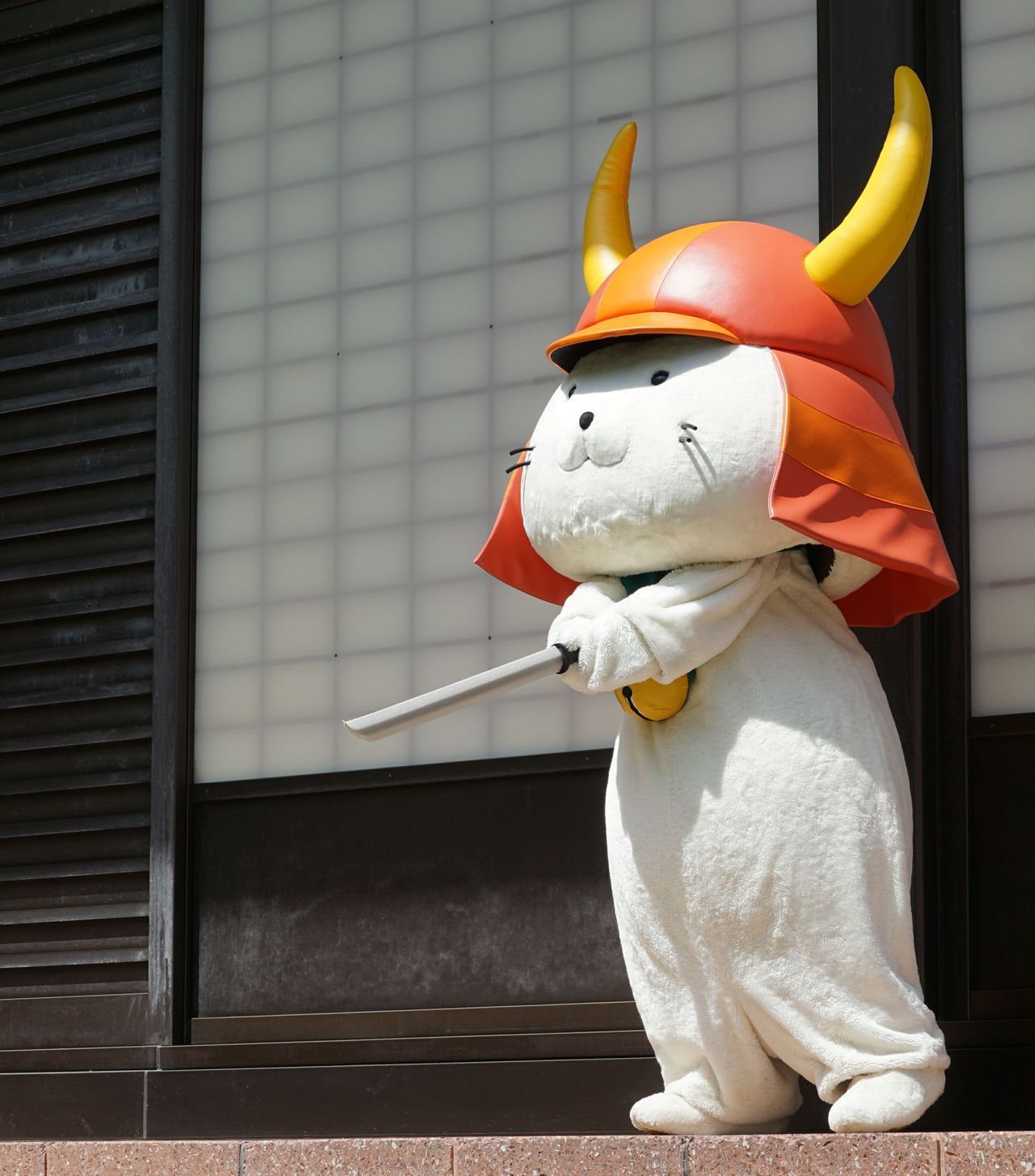 毎日ひこにゃん