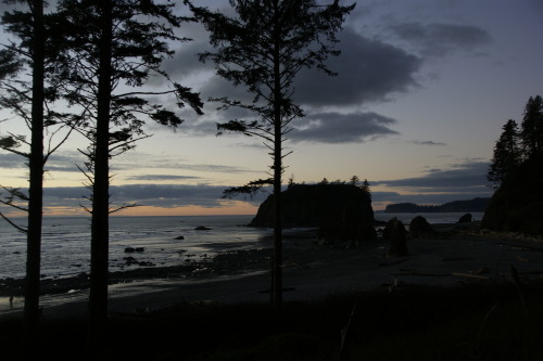 Where the forest ends and the sea beginsRuby Beach - Olympic National Park