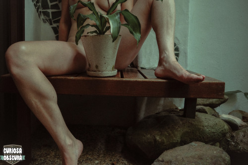 curiosa-obscura:  potplants of byron bay