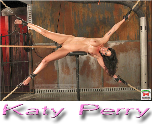 Celebrity Porn, From Katy Perry's Horniest porn pictures