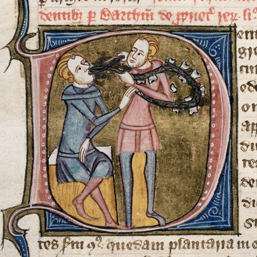 An initial D (here standing for dentes = “teeth”), containing a scene in which a dentist