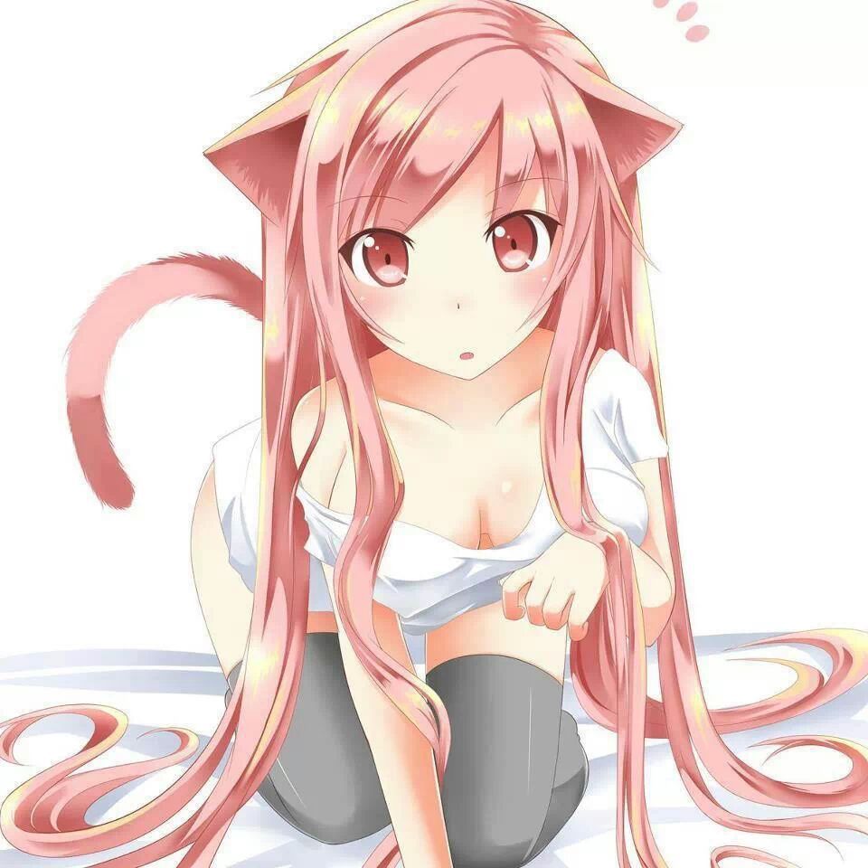 Hentai? My pleasure