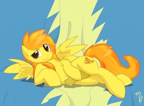 Daily  clop dump