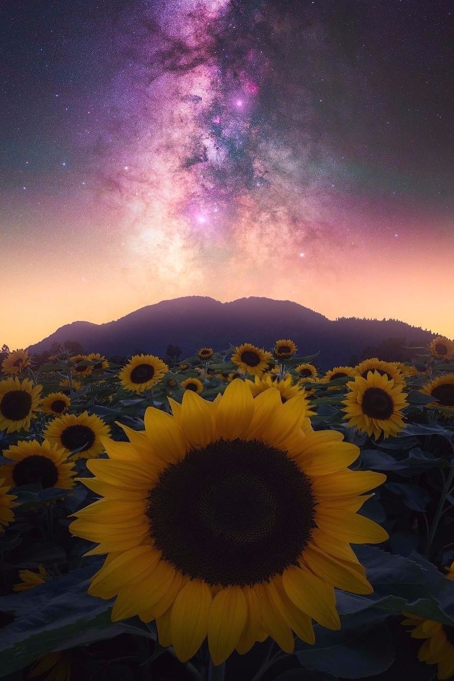 maureen2musings:  Obsessed with the stars and night sky danielgreenwoodphotography