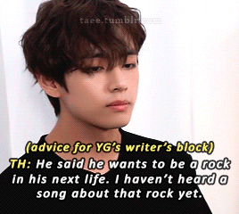 Taehyung Never Forgetting Yoongis Wish Of Wanting To Reincarnate Into A Rock In His Next Life (7,8 Cr.