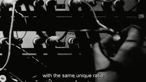 odrasli-kengur:Pi ( movie )