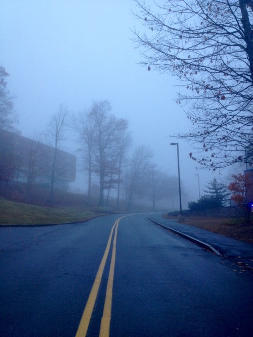 bonusocean:this morning i woke up very early and outside was foggy + nice