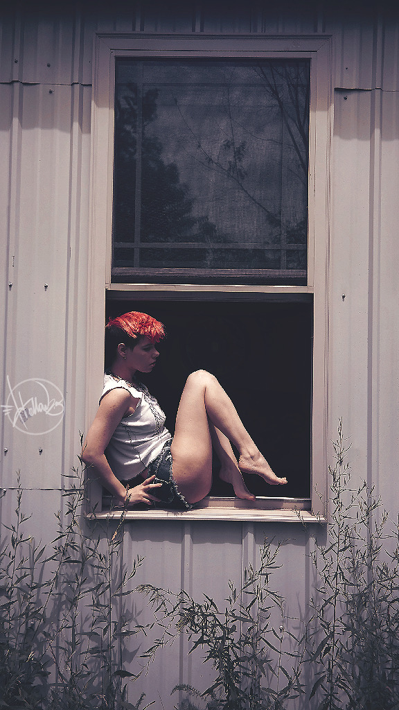 “Birdy in the Window”Pigeon Foo shot by Hollow2.5 At Hollow GRND Studio