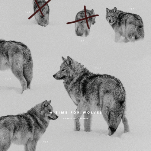 lyastark:A TIME FOR WOLVES | an instrumental fanmix for house stark —listeni. howl 