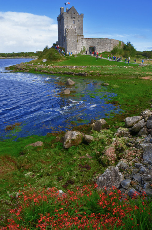 Dunguaire Castle, Galway / Ireland (by Kevin.Donegan).