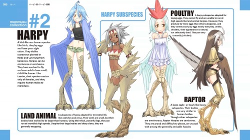 lexcolix98: The complete monster musume End card list (part1)