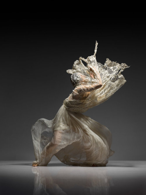 myampgoesto11: Lois Greenfield Artist statement: “I’ve spent the last 35 years of my pho