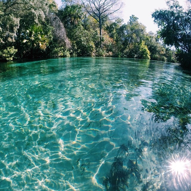 the-ocean-paradise:  pure ocean
