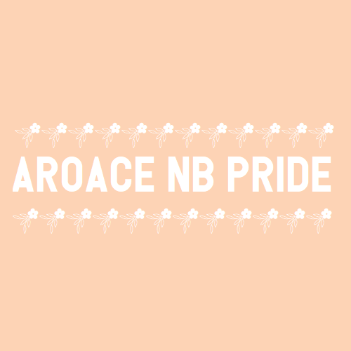 [Image Description: An orange color block with text that reads &ldquo;aroace nb pride&rdquo;