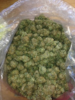 ricardoppe:  Just picked up a pound of  some