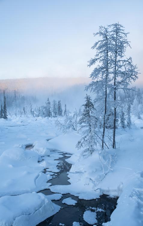 oneshotolive:  Actual air temperature was -50F: Liard Hot Springs, British Columbia [OC] [4352x6864] 📷: VincentLedvina 