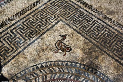 irisharchaeology:French archaeologists working in the town of Uzes in southern France have uncovered