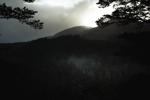 freddieardley:Time shift through a Scottish dayPhotographed by Freddie Ardley