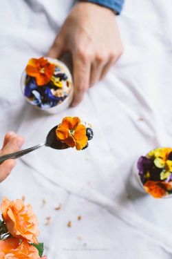 intensefoodcravings:Granola with Lemon Yogurt and Edible Flowers