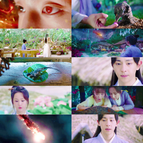 ASHES OF LOVE  |  香蜜沉沉烬如霜⤷ Episode 1“A shooting star? I heard mortals say that if you wish upon a sh