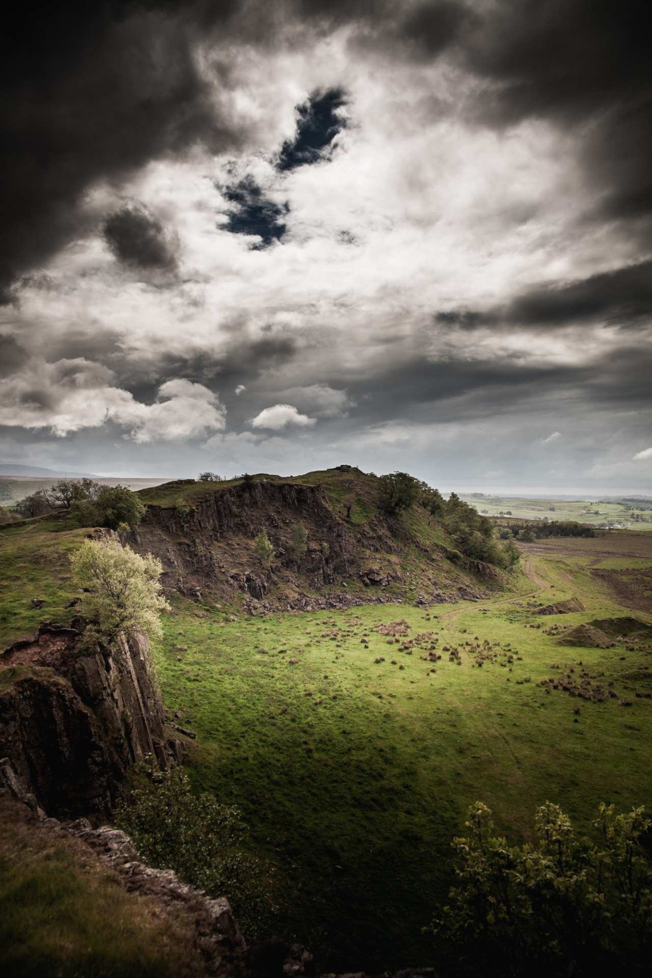 freddie-photography:  The fragility of nature scares me more often than I care to