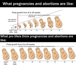 your-lies-ruin-lives:  abaldwin360:  You have to love how much misinformation the pro-life movement spreads.  THIS IS THE IMAGE I WAS LOOKING FOR RECENTLY THANK YOU! 