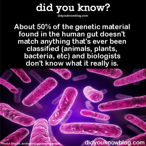 XXX did-you-kno:  About 50% of the genetic material photo