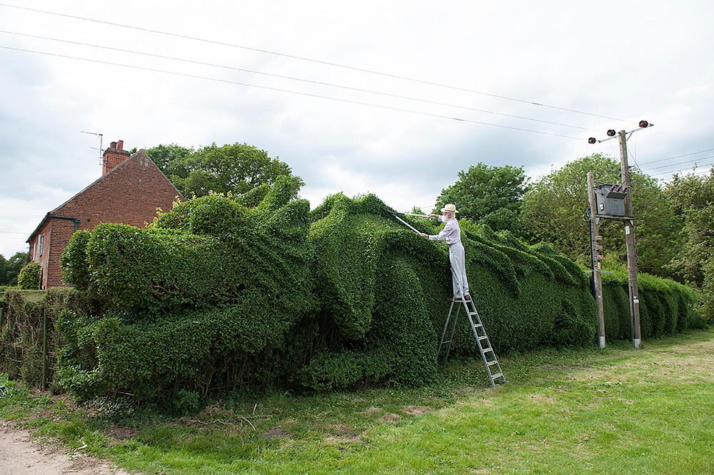 rnanflesh:  itscolossal:  Man Spends a Decade Transforming a Hedge into a Massive