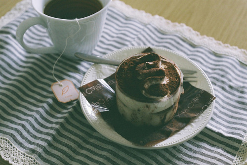iguanid:  240/365 Tiramisù by +++ponyrock+++ on Flickr. 