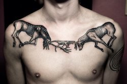 skindeeptales:  Some of my favorite deer tattoos as requested