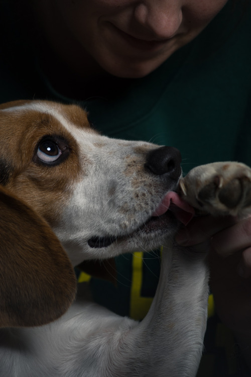 Sex lensblr-network:  Paw KissesThank you - by pictures